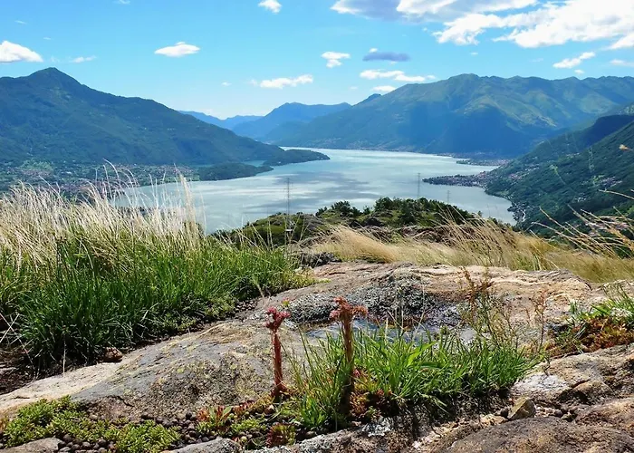 Отель Tamola 2*